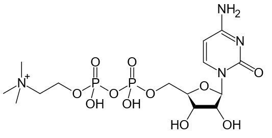 Citicoline