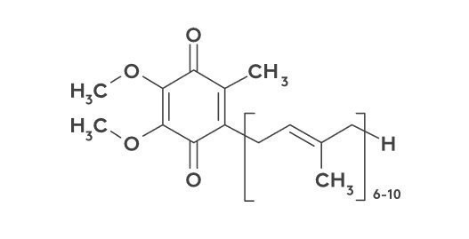 CoQ10 in Performance Lab