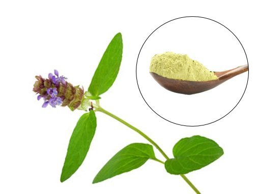 Skullcap Plant and Green Powder